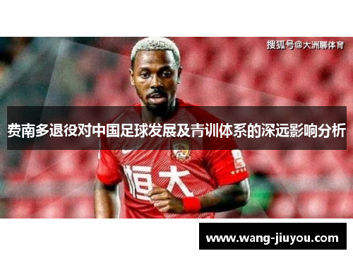 费南多退役对中国足球发展及青训体系的深远影响分析