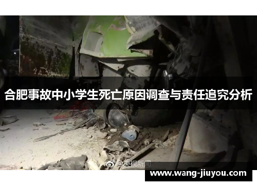 合肥事故中小学生死亡原因调查与责任追究分析