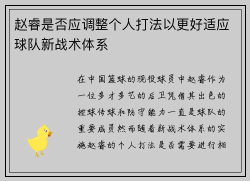 赵睿是否应调整个人打法以更好适应球队新战术体系
